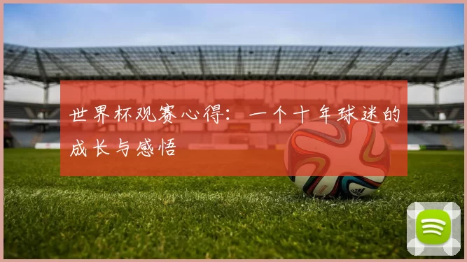 世界杯观赛心得:一个十年球迷的成长与感悟