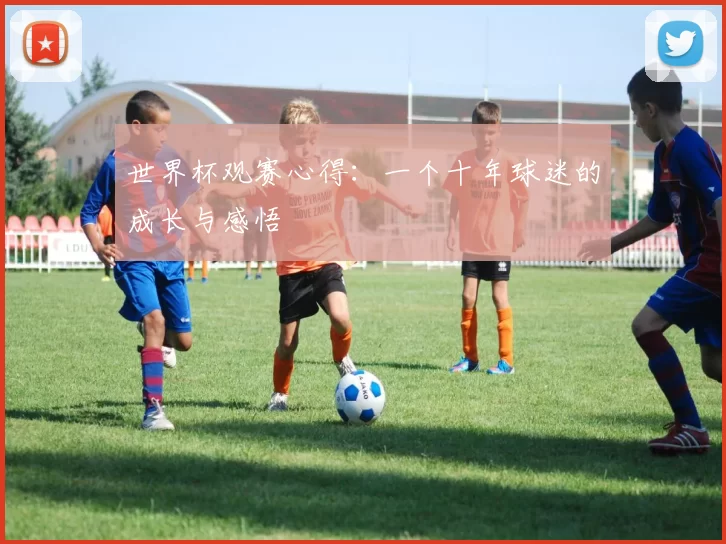 世界杯观赛心得：一个十年球迷的成长与感悟