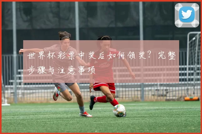 世界杯彩票中奖后如何领奖？完整步骤与注意事项