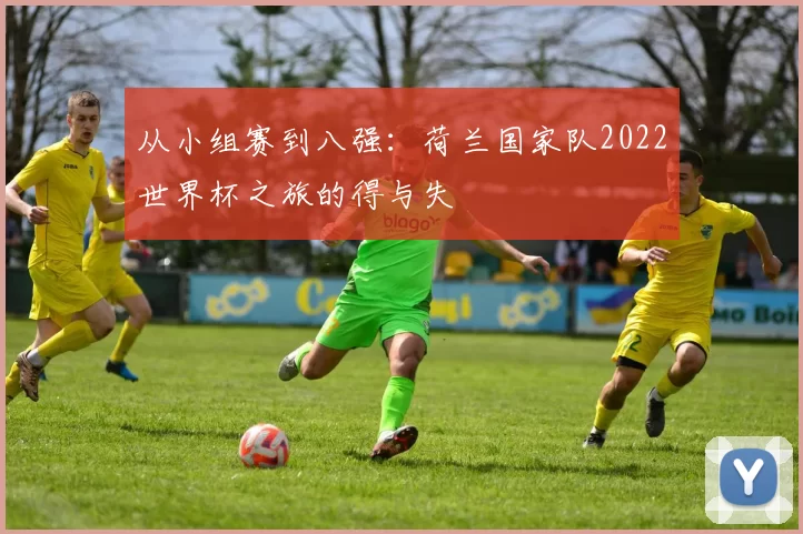 从小组赛到八强：荷兰国家队2022世界杯之旅的得与失