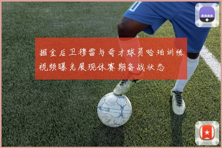 掘金后卫穆雷与奇才球员哈珀训练视频曝光展现休赛期备战状态