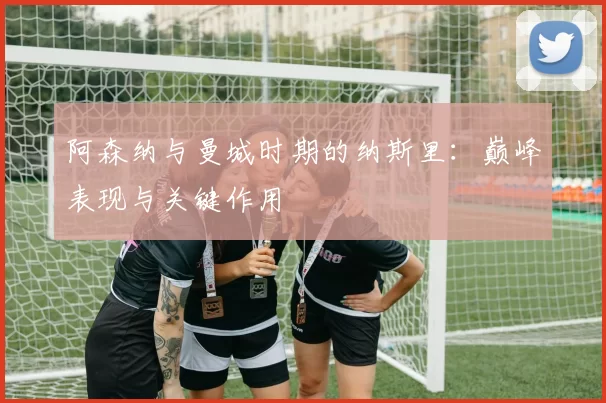 阿森纳与曼城时期的纳斯里:巅峰表现与关键作用