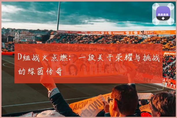 D组战火点燃:一段关于荣耀与挑战的绿茵传奇