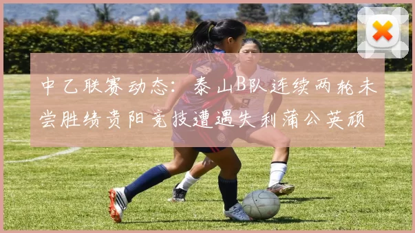 中乙联赛动态：泰山B队连续两轮未尝胜绩贵阳竞技遭遇失利蒲公英顽强战平