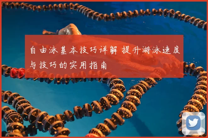 自由泳基本技巧详解 提升游泳速度与技巧的实用指南