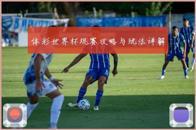 体彩世界杯观赛攻略与玩法详解