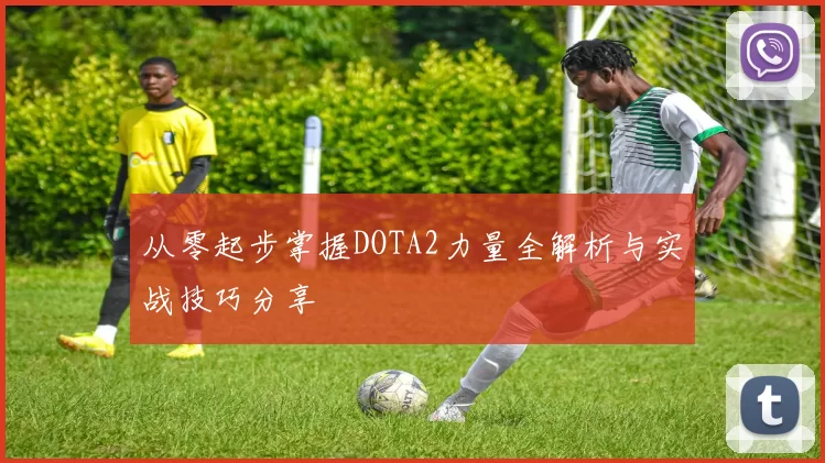 从零起步掌握DOTA2力量全解析与实战技巧分享
