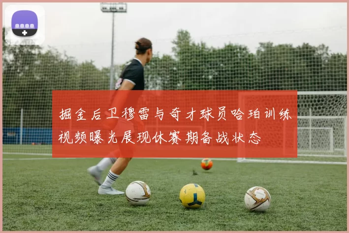 掘金后卫穆雷与奇才球员哈珀训练视频曝光展现休赛期备战状态