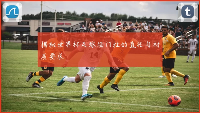 揭秘世界杯足球场门柱的直径与材质要求