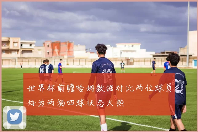 世界杯前瞻哈姆数据对比两位球员均为两场四球状态火热