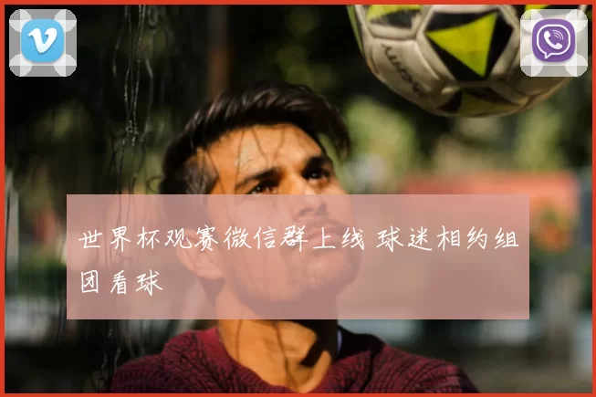 世界杯观赛微信群上线 球迷相约组团看球