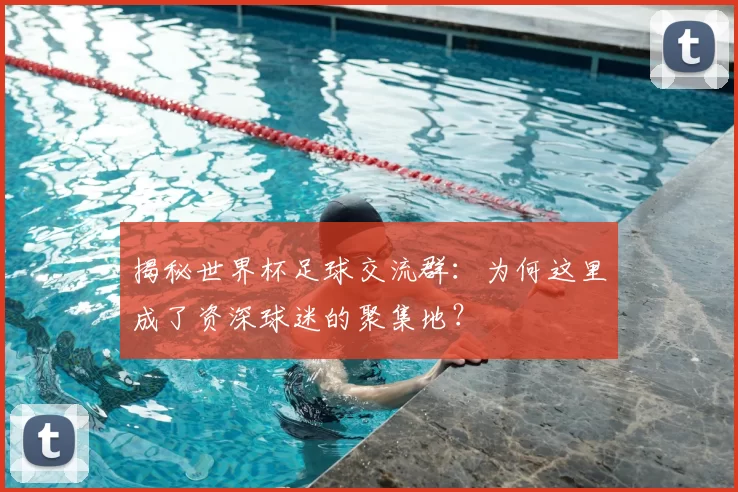 揭秘世界杯足球交流群：为何这里成了资深球迷的聚集地？
