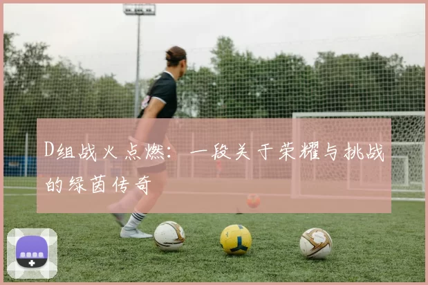 D组战火点燃：一段关于荣耀与挑战的绿茵传奇